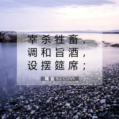 Picture 07 - 箴 言 9:2 CUVS - 宰 杀 牲 畜 ， 调 和 旨 酒 ， 设 摆 - Bible Verse Picture