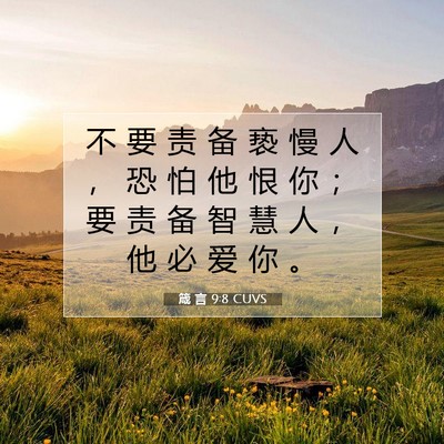Picture 07 - 箴 言 9:8 CUVS - 不 要 责 备 亵 慢 人 ， 恐 怕 他 恨 - Bible Verse Picture