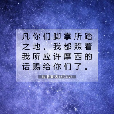 Picture 07 - 约 书 亚 记 1:3 CUVS - 凡 你 们 脚 掌 所 踏 之 地 ， 我 都 - Bible Verse Picture
