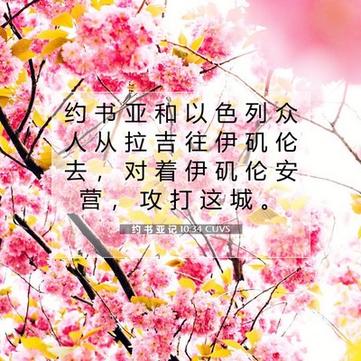 Picture 07 - 约 书 亚 记 10:34 CUVS - 约 书 亚 和 以 色 列 众 人 从 拉 吉 - Bible Verse Picture
