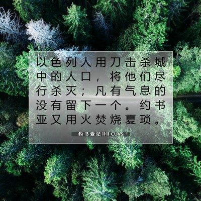 Picture 07 - 约 书 亚 记 11:11 CUVS - 以 色 列 人 用 刀 击 杀 城 中 的 人 - Bible Verse Picture