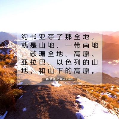 Picture 07 - 约 书 亚 记 11:16 CUVS - 约 书 亚 夺 了 那 全 地 ， 就 是 山 - Bible Verse Picture
