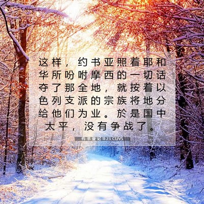 Picture 07 - 约 书 亚 记 11:23 CUVS - 这 样 ， 约 书 亚 照 着 耶 和 华 所 - Bible Verse Picture