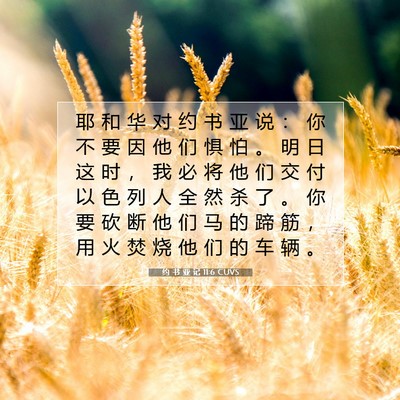 Picture 07 - 约 书 亚 记 11:6 CUVS - 耶 和 华 对 约 书 亚 说 ： 你 不 要 - Bible Verse Picture