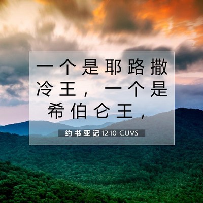 Picture 07 - 约 书 亚 记 12:10 CUVS - 一 个 是 耶 路 撒 冷 王 ， 一 个 是 - Bible Verse Picture