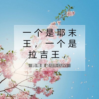 Picture 07 - 约 书 亚 记 12:11 CUVS - 一 个 是 耶 末 王 ， 一 个 是 拉 吉 - Bible Verse Picture