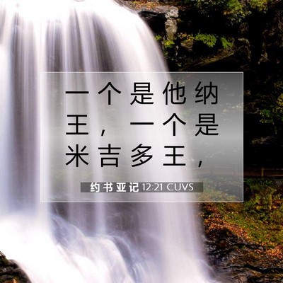 Picture 07 - 约 书 亚 记 12:21 CUVS - 一 个 是 他 纳 王 ， 一 个 是 米 吉 - Bible Verse Picture