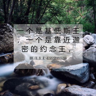 Picture 07 - 约 书 亚 记 12:22 CUVS - 一 个 是 基 低 斯 王 ， 一 个 是 靠 - Bible Verse Picture