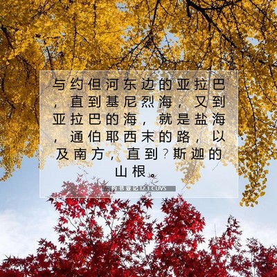 Picture 07 - 约 书 亚 记 12:3 CUVS - 与 约 但 河 东 边 的 亚 拉 巴 ， 直 - Bible Verse Picture