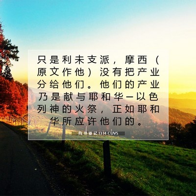 Picture 07 - 约 书 亚 记 13:14 CUVS - 只 是 利 未 支 派 ， 摩 西 （ 原 文 - Bible Verse Picture