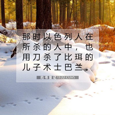 Picture 07 - 约 书 亚 记 13:22 CUVS - 那 时 以 色 列 人 在 所 杀 的 人 中 - Bible Verse Picture