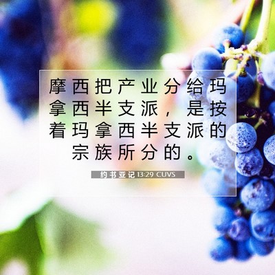 Picture 07 - 约 书 亚 记 13:29 CUVS - 摩 西 把 产 业 分 给 玛 拿 西 半 支 - Bible Verse Picture