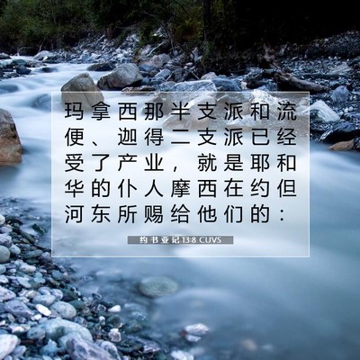 Picture 07 - 约 书 亚 记 13:8 CUVS - 玛 拿 西 那 半 支 派 和 流 便 、 迦 - Bible Verse Picture