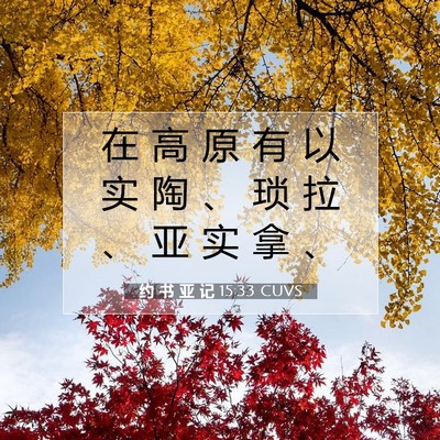 Picture 07 - 约 书 亚 记 15:33 CUVS - 在 高 原 有 以 实 陶 、 琐 拉 、 亚 - Bible Verse Picture