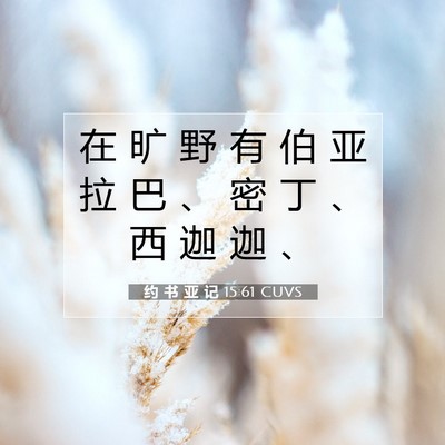 Picture 07 - 约 书 亚 记 15:61 CUVS - 在 旷 野 有 伯 亚 拉 巴 、 密 丁 、 - Bible Verse Picture