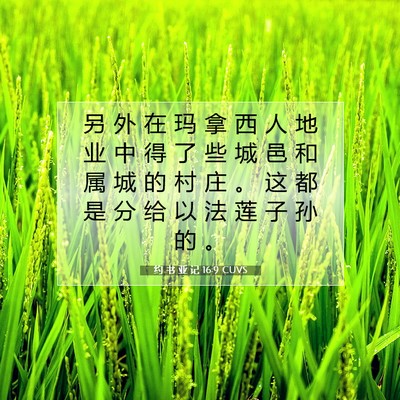 Picture 07 - 约 书 亚 记 16:9 CUVS - 另 外 在 玛 拿 西 人 地 业 中 得 了 - Bible Verse Picture
