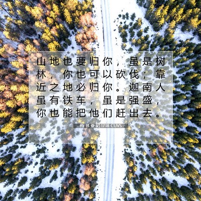 Picture 07 - 约 书 亚 记 17:18 CUVS - 山 地 也 要 归 你 ， 虽 是 树 林 ， - Bible Verse Picture