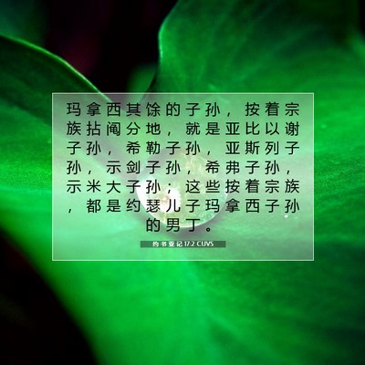 Picture 07 - 约 书 亚 记 17:2 CUVS - 玛 拿 西 其 馀 的 子 孙 ， 按 着 宗 - Bible Verse Picture