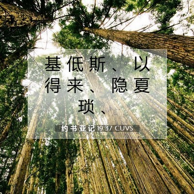 Picture 07 - 约 书 亚 记 19:37 CUVS - 基 低 斯 、 以 得 来 、 隐 夏 琐 - Bible Verse Picture