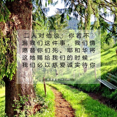 Picture 07 - 约 书 亚 记 2:14 CUVS - 二 人 对 他 说 ： 你 若 不 ? 漏 我 们 - Bible Verse Picture