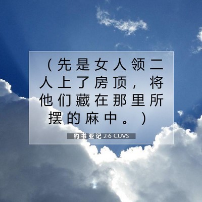 Picture 07 - 约 书 亚 记 2:6 CUVS - （ 先 是 女 人 领 二 人 上 了 房 顶 - Bible Verse Picture