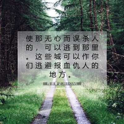 Picture 07 - 约 书 亚 记 20:3 CUVS - 使 那 无 心 而 误 杀 人 的 ， 可 以 - Bible Verse Picture