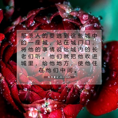 Picture 07 - 约 书 亚 记 20:4 CUVS - 那 杀 人 的 要 逃 到 这 些 城 中 的 - Bible Verse Picture