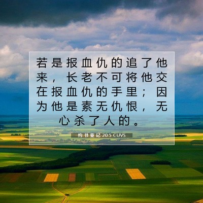 Picture 07 - 约 书 亚 记 20:5 CUVS - 若 是 报 血 仇 的 追 了 他 来 ， 长 - Bible Verse Picture