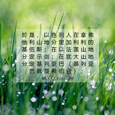 Picture 07 - 约 书 亚 记 20:7 CUVS - 於 是 ， 以 色 列 人 在 拿 弗 他 利 - Bible Verse Picture