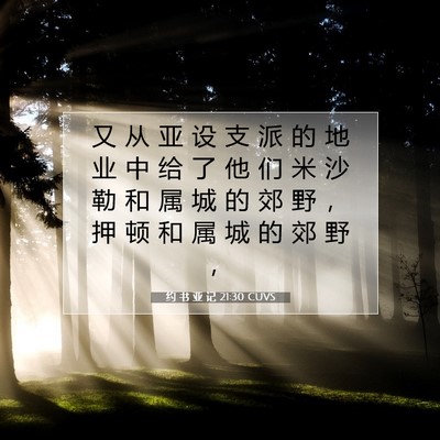 Picture 07 - 约 书 亚 记 21:30 CUVS - 又 从 亚 设 支 派 的 地 业 中 给 了 - Bible Verse Picture