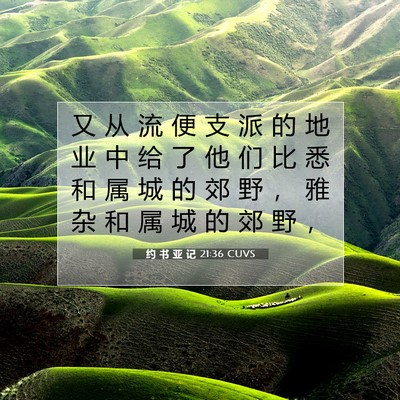 Picture 07 - 约 书 亚 记 21:36 CUVS - 又 从 流 便 支 派 的 地 业 中 给 了 - Bible Verse Picture