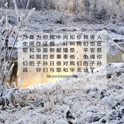 Picture 07 - 约 书 亚 记 22:27 CUVS - 乃 是 为 你 我 中 间 和 你 我 後 人 - Bible Verse Picture