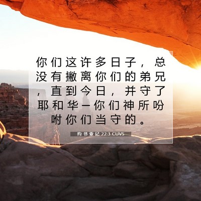 Picture 07 - 约 书 亚 记 22:3 CUVS - 你 们 这 许 多 日 子 ， 总 没 有 撇 - Bible Verse Picture