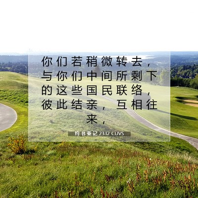 Picture 07 - 约 书 亚 记 23:12 CUVS - 你 们 若 稍 微 转 去 ， 与 你 们 中 - Bible Verse Picture