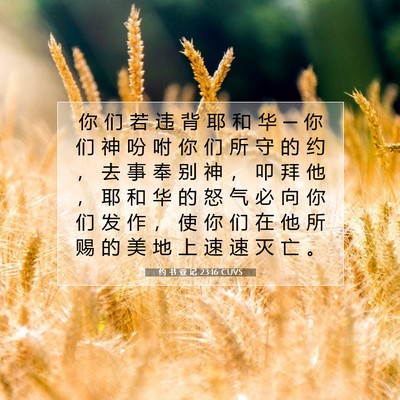 Picture 07 - 约 书 亚 记 23:16 CUVS - 你 们 若 违 背 耶 和 华 ─ 你 们 神 - Bible Verse Picture
