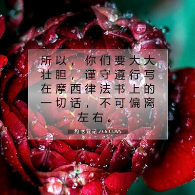 Picture 07 - 约 书 亚 记 23:6 CUVS - 所 以 ， 你 们 要 大 大 壮 胆 ， 谨 - Bible Verse Picture