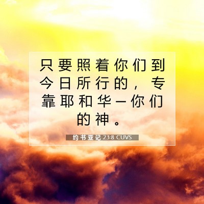 Picture 07 - 约 书 亚 记 23:8 CUVS - 只 要 照 着 你 们 到 今 日 所 行 的 - Bible Verse Picture