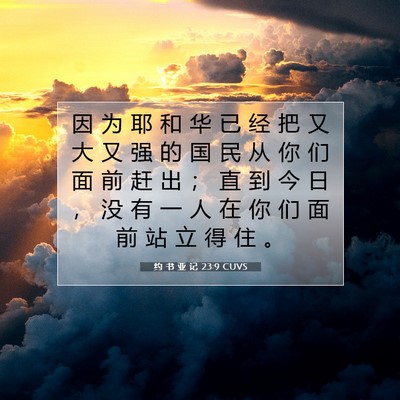 Picture 07 - 约 书 亚 记 23:9 CUVS - 因 为 耶 和 华 已 经 把 又 大 又 强 - Bible Verse Picture