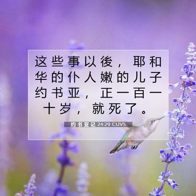 Picture 07 - 约 书 亚 记 24:29 CUVS - 这 些 事 以 後 ， 耶 和 华 的 仆 人 - Bible Verse Picture