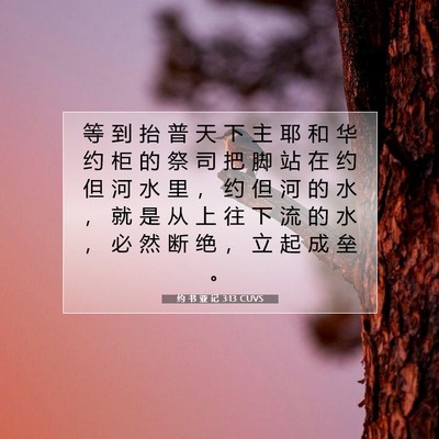 Picture 07 - 约 书 亚 记 3:13 CUVS - 等 到 抬 普 天 下 主 耶 和 华 约 柜 - Bible Verse Picture