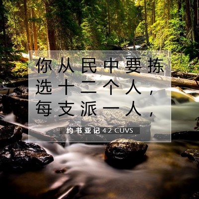 Picture 07 - 约 书 亚 记 4:2 CUVS - 你 从 民 中 要 拣 选 十 二 个 人 , - Bible Verse Picture