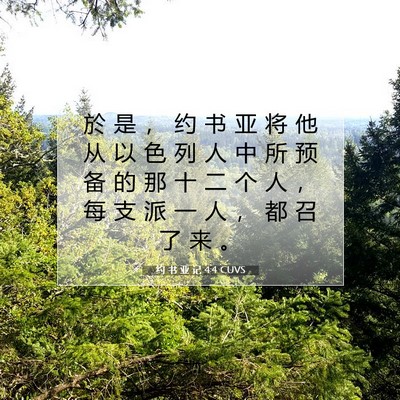 Picture 07 - 约 书 亚 记 4:4 CUVS - 於 是 ， 约 书 亚 将 他 从 以 色 列 - Bible Verse Picture