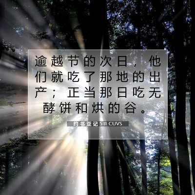 Picture 07 - 约 书 亚 记 5:11 CUVS - 逾 越 节 的 次 日 ， 他 们 就 吃 了 - Bible Verse Picture