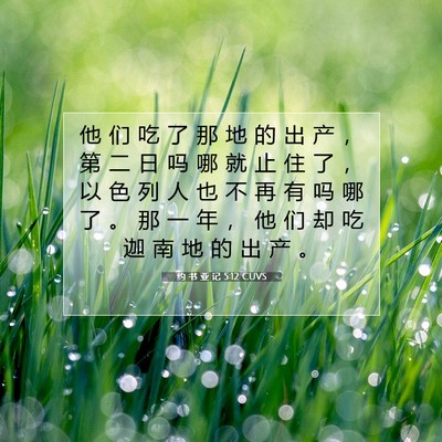 Picture 07 - 约 书 亚 记 5:12 CUVS - 他 们 吃 了 那 地 的 出 产 ， 第 二 - Bible Verse Picture