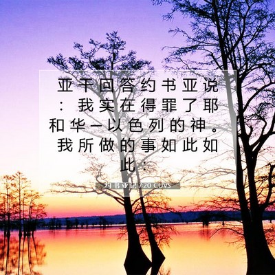 Picture 07 - 约 书 亚 记 7:20 CUVS - 亚 干 回 答 约 书 亚 说 ： 我 实 在 - Bible Verse Picture