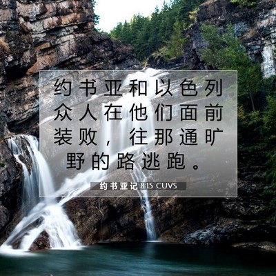 Picture 07 - 约 书 亚 记 8:15 CUVS - 约 书 亚 和 以 色 列 众 人 在 他 们 - Bible Verse Picture