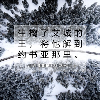 Picture 07 - 约 书 亚 记 8:23 CUVS - 生 擒 了 艾 城 的 王 ， 将 他 解 到 - Bible Verse Picture
