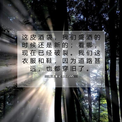 Picture 07 - 约 书 亚 记 9:13 CUVS - 这 皮 酒 袋 ， 我 们 盛 酒 的 时 候 - Bible Verse Picture