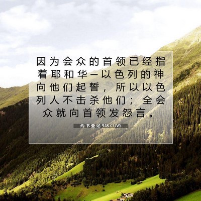 Picture 07 - 约 书 亚 记 9:18 CUVS - 因 为 会 众 的 首 领 已 经 指 着 耶 - Bible Verse Picture