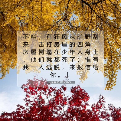 Picture 07 - 约 伯 记 1:19 CUVS - 不 料 ， 有 狂 风 从 旷 野 刮 来 ， - Bible Verse Picture